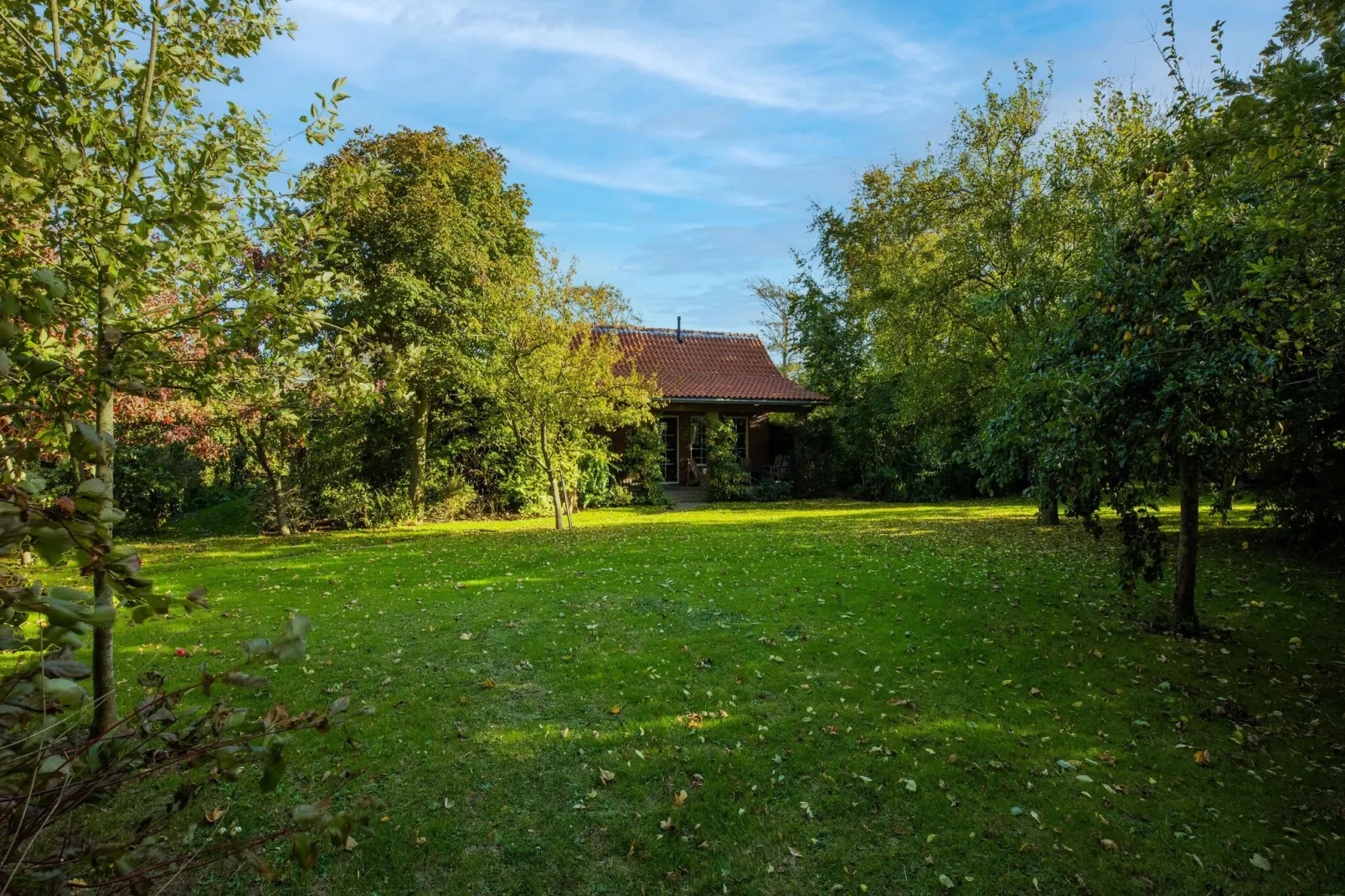 Vakantiewoning Wijnaldum-Gardens summer