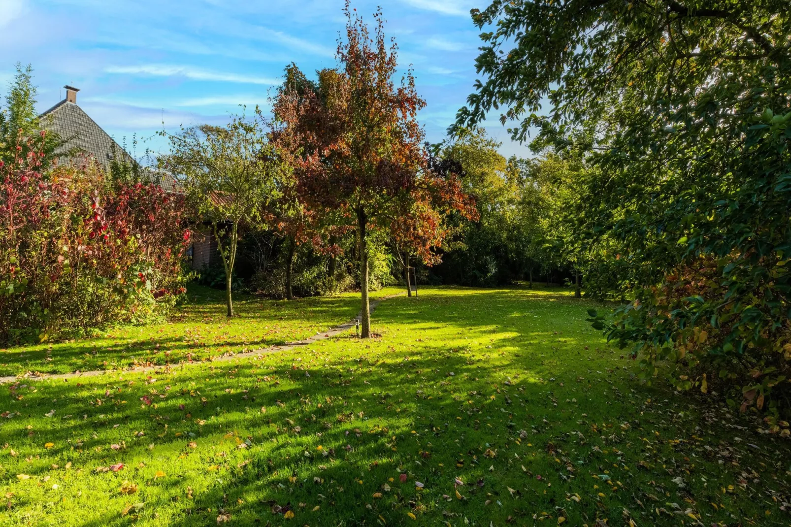Vakantiewoning Wijnaldum-Gardens summer