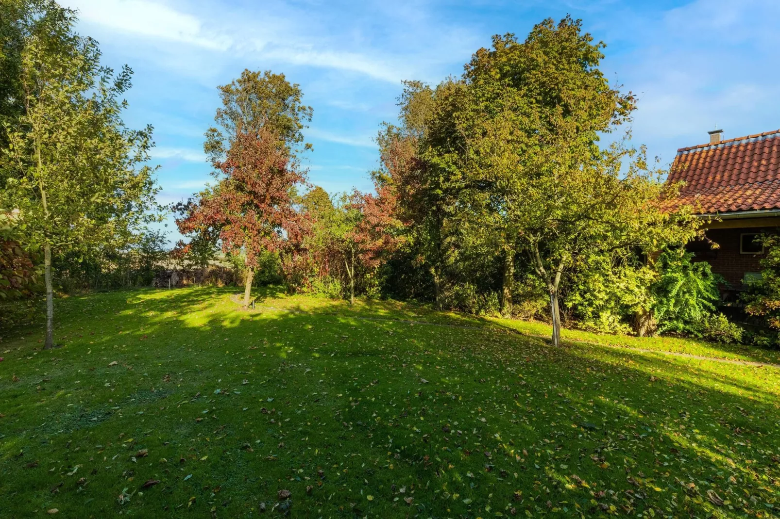 Vakantiewoning Wijnaldum-Gardens summer