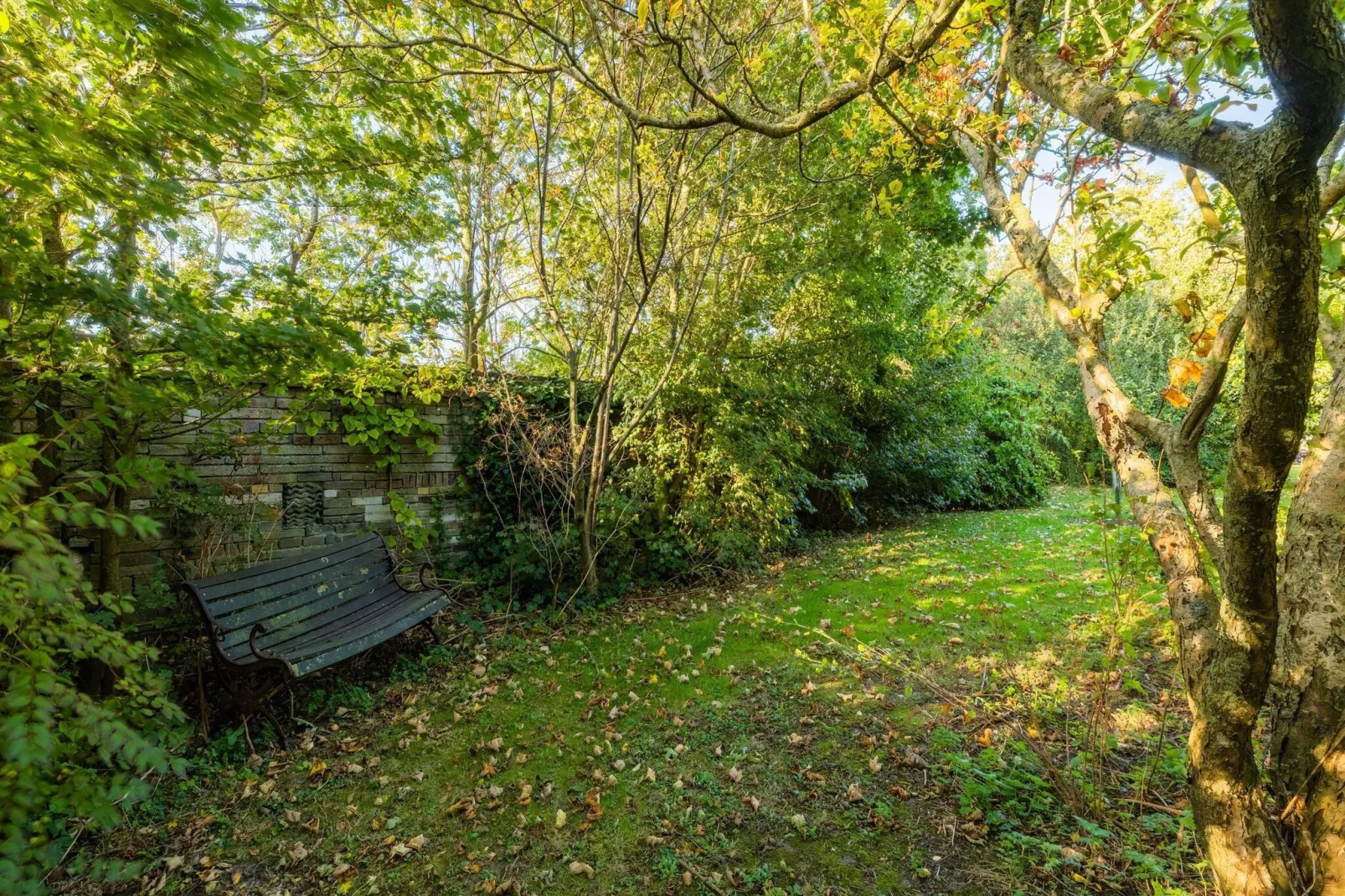 Vakantiewoning Wijnaldum-Gardens summer