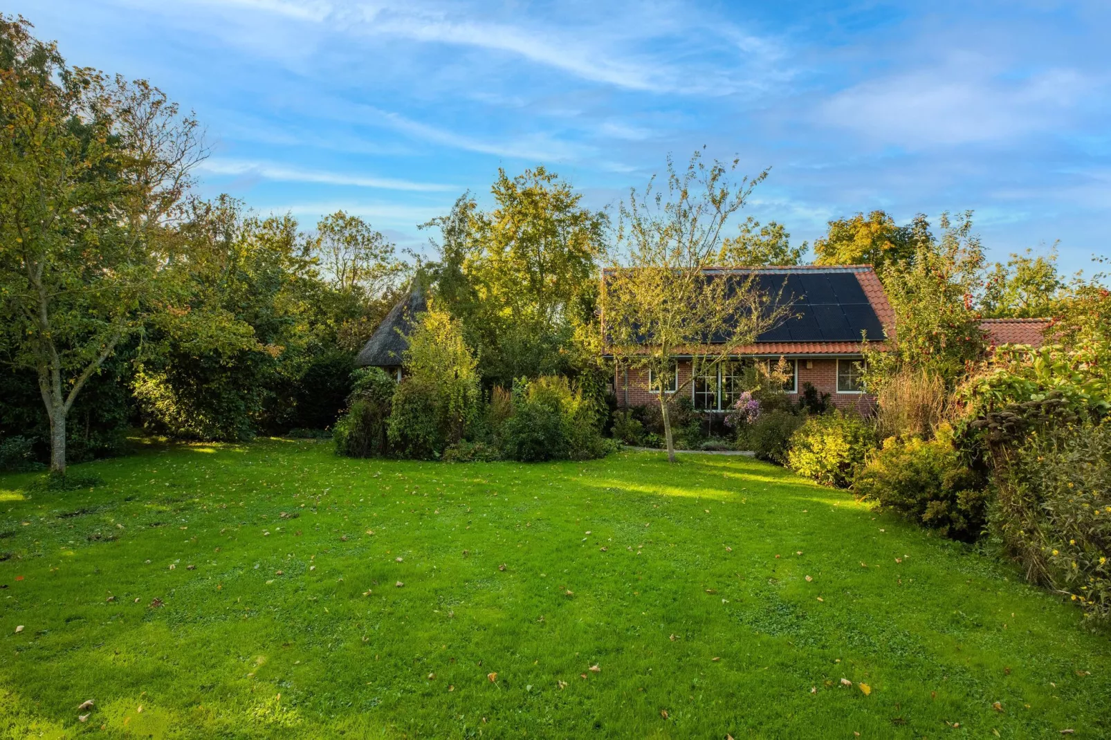 Vakantiewoning Wijnaldum-Exterior summer