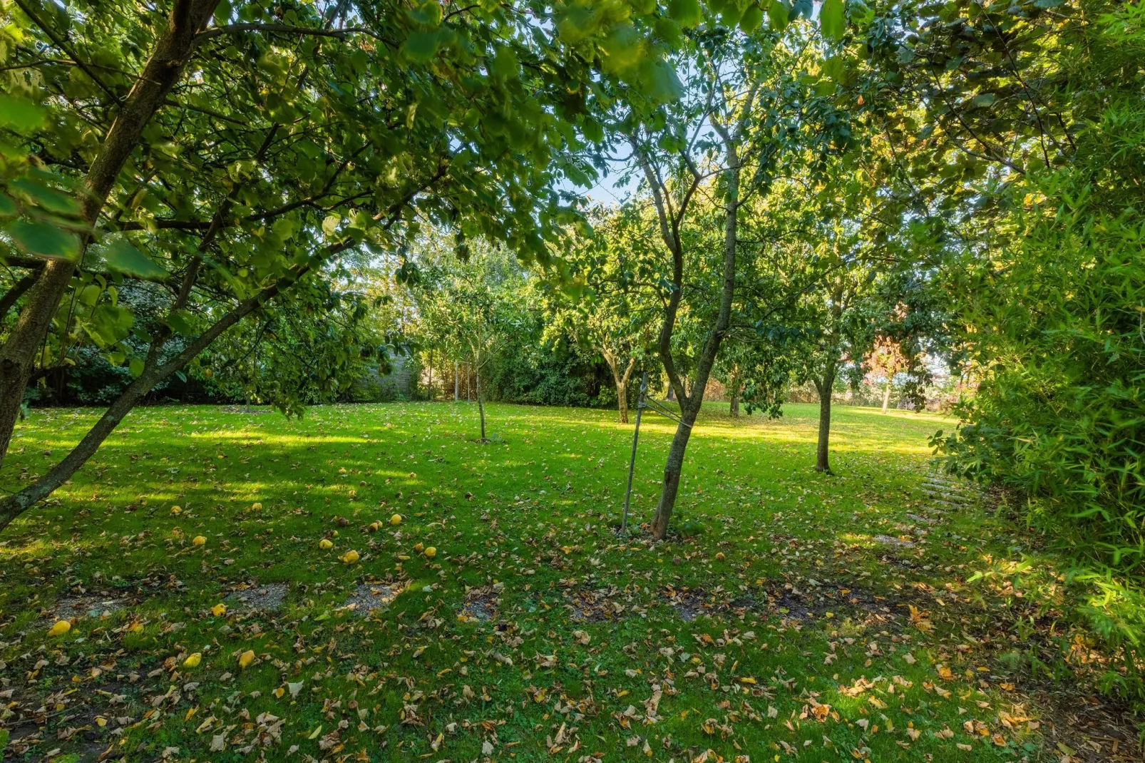 Vakantiewoning Wijnaldum-Gardens summer