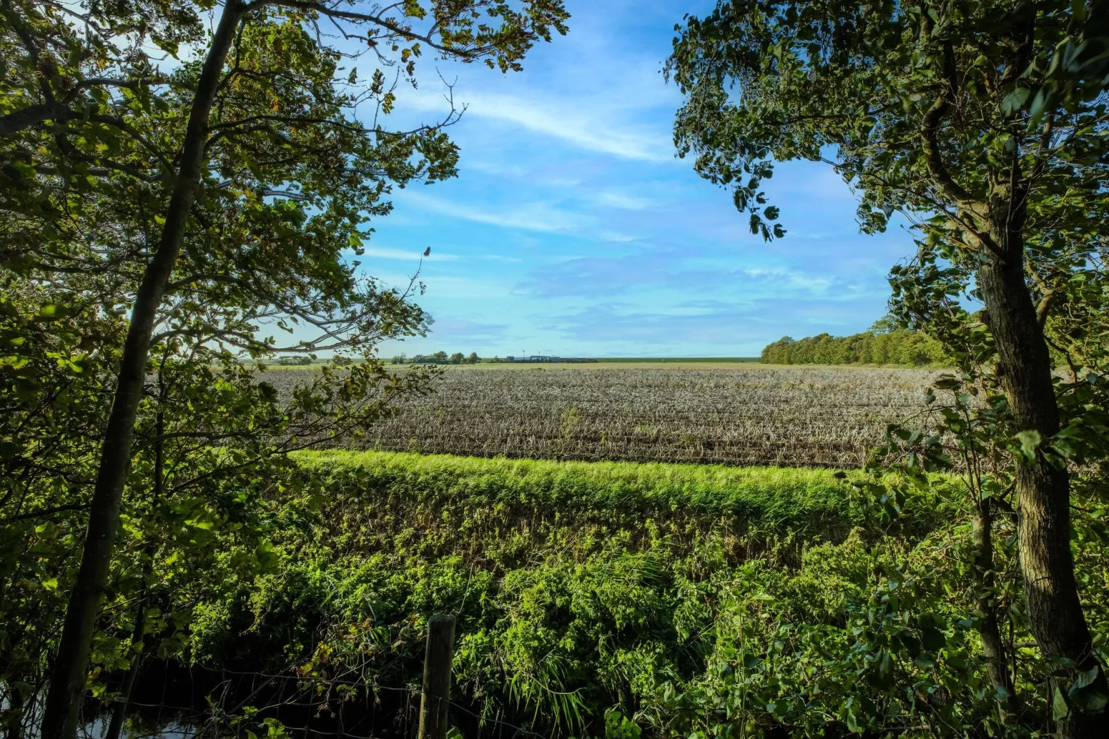 Vakantiewoning Wijnaldum-Areas summer 1km