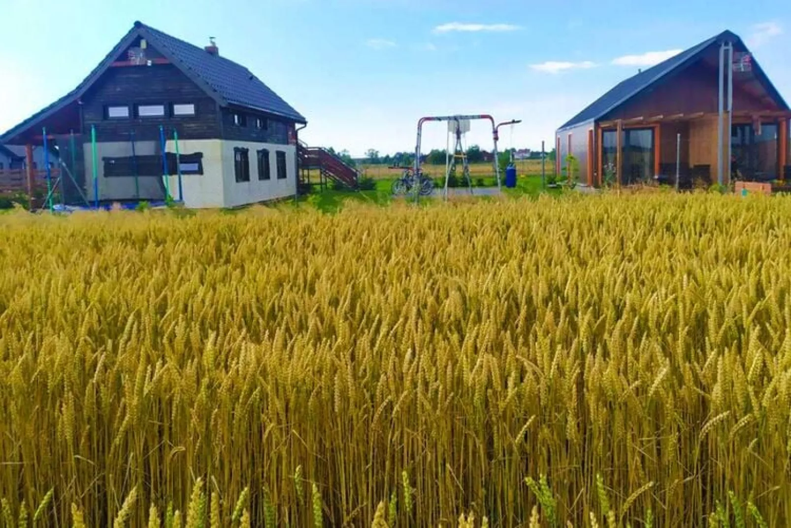 Apartament wakacyjny Jezierzany-Außenbereich Sommer