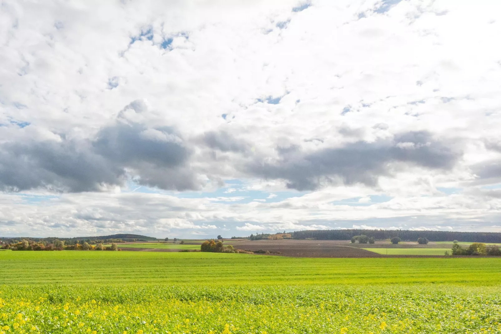 Ferienwohnung Haunsheim rechts-Gebiete Sommer 5 km