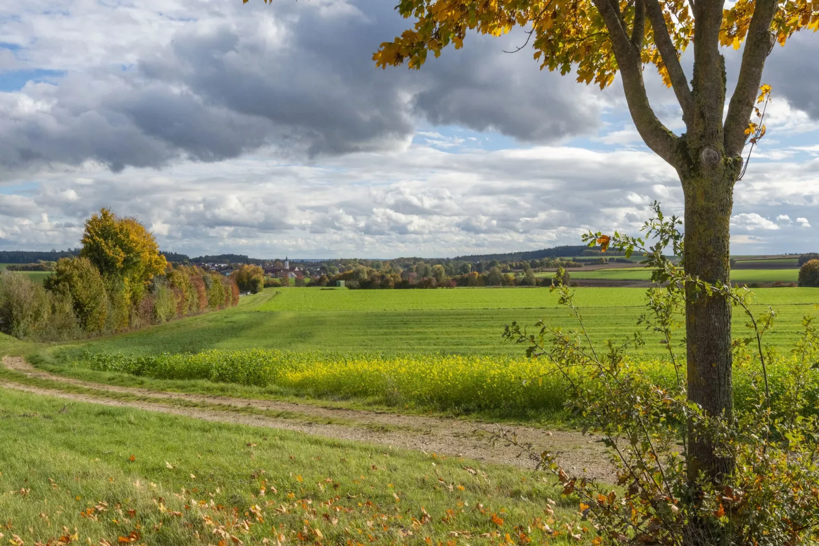 Ferienwohnung Haunsheim rechts-Gebiete Sommer 5 km