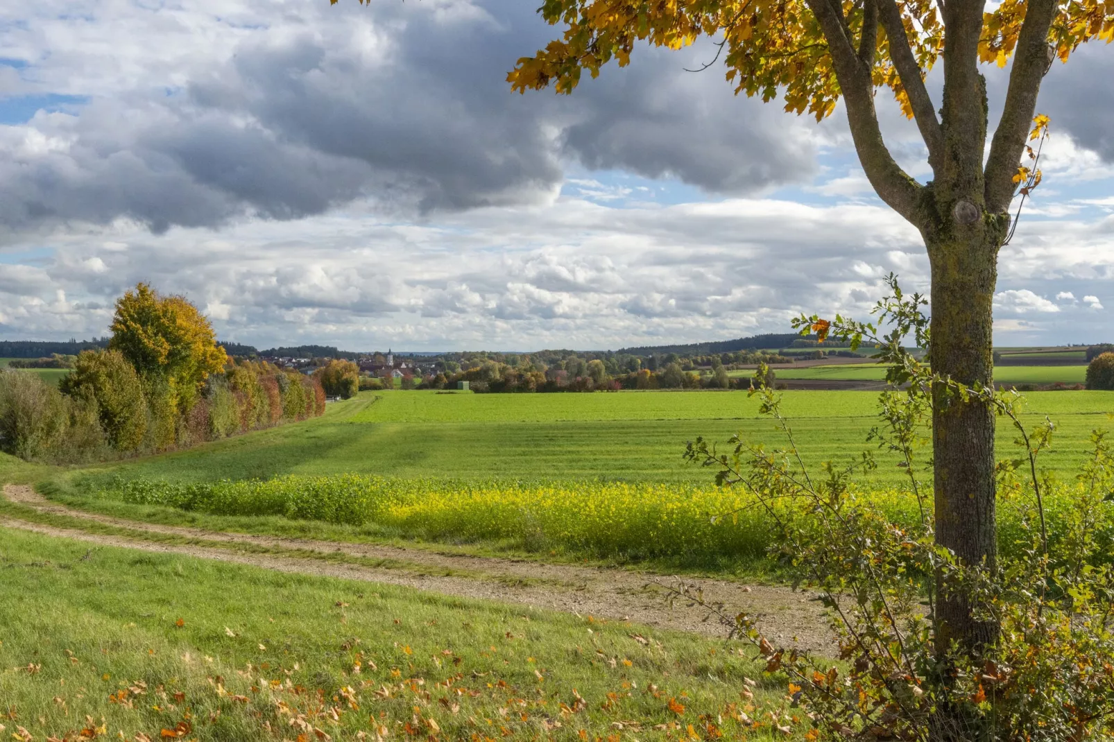 Ferienwohnung Haunsheim links-Gebiete Sommer 5 km