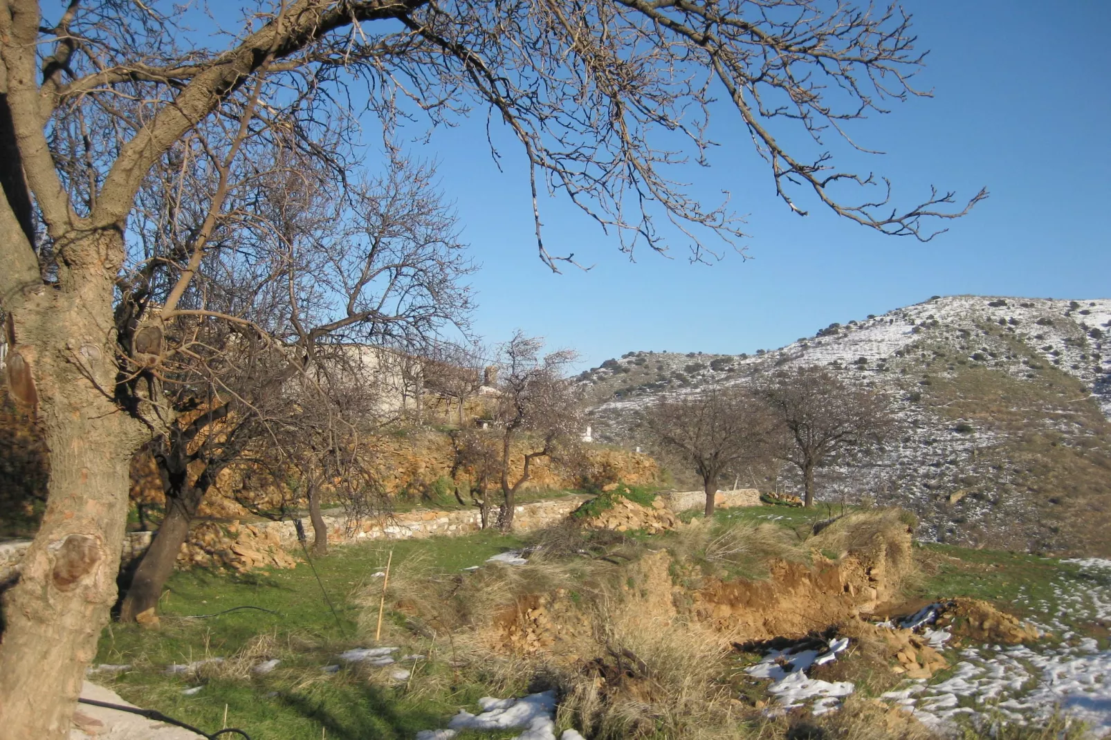 San Marcos-Area winter 1km