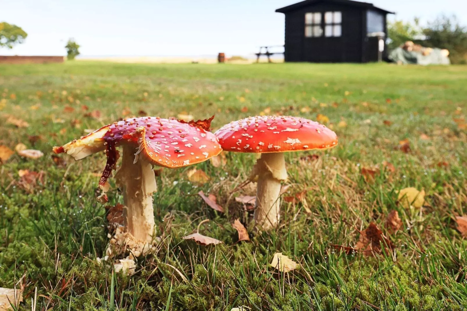 6 person holiday home in Højslev-By Traum