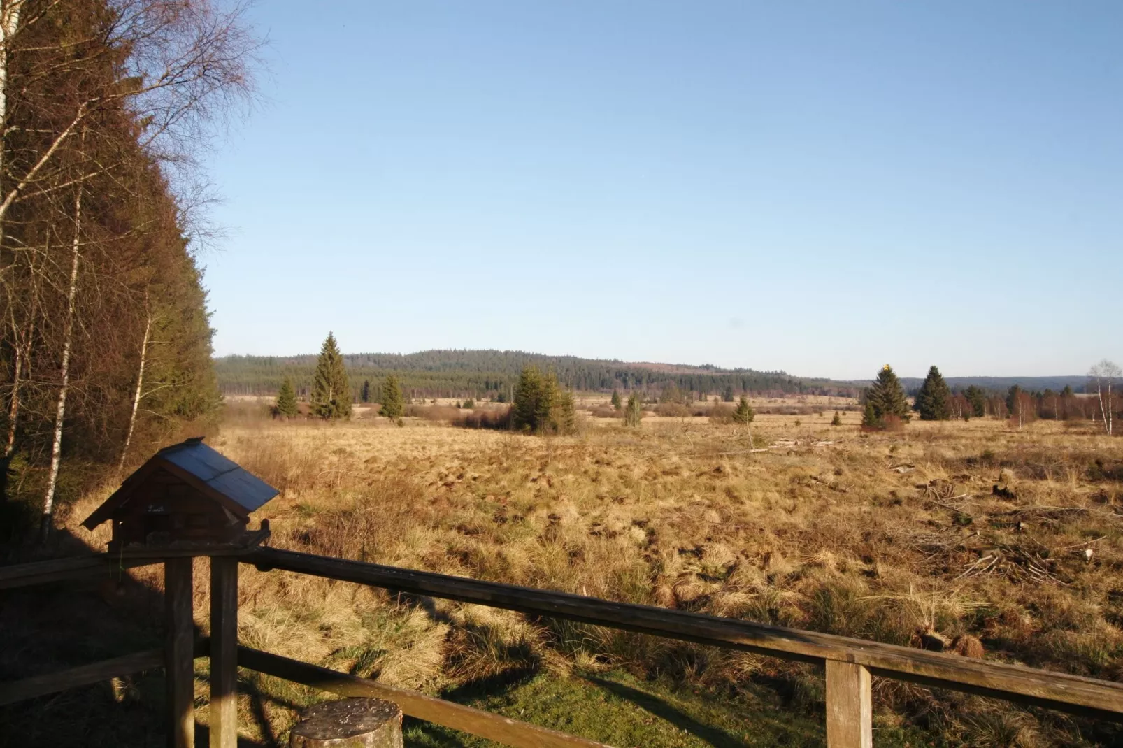 La Cabane-View summer