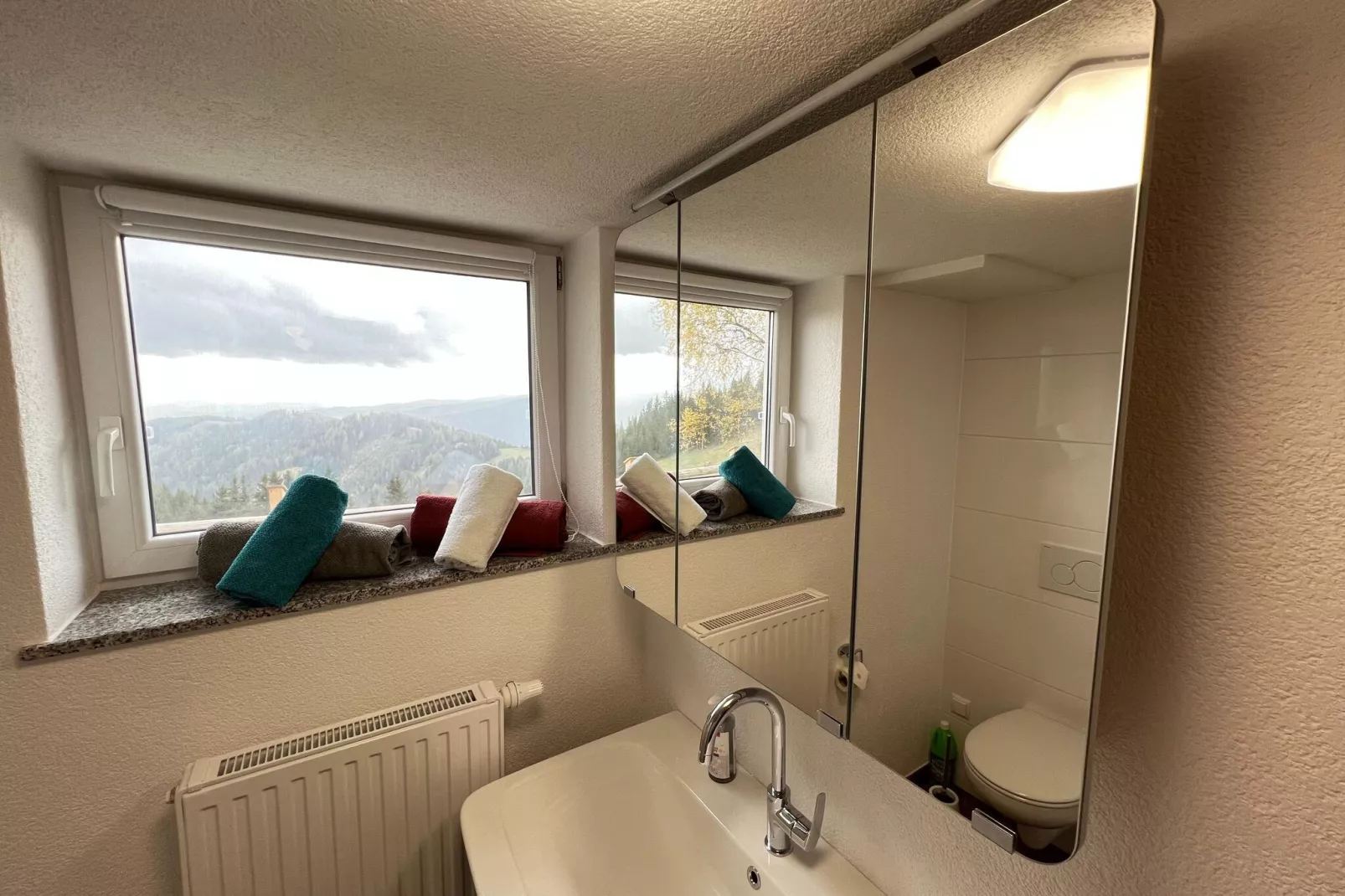 Graslerhütte-Bathroom