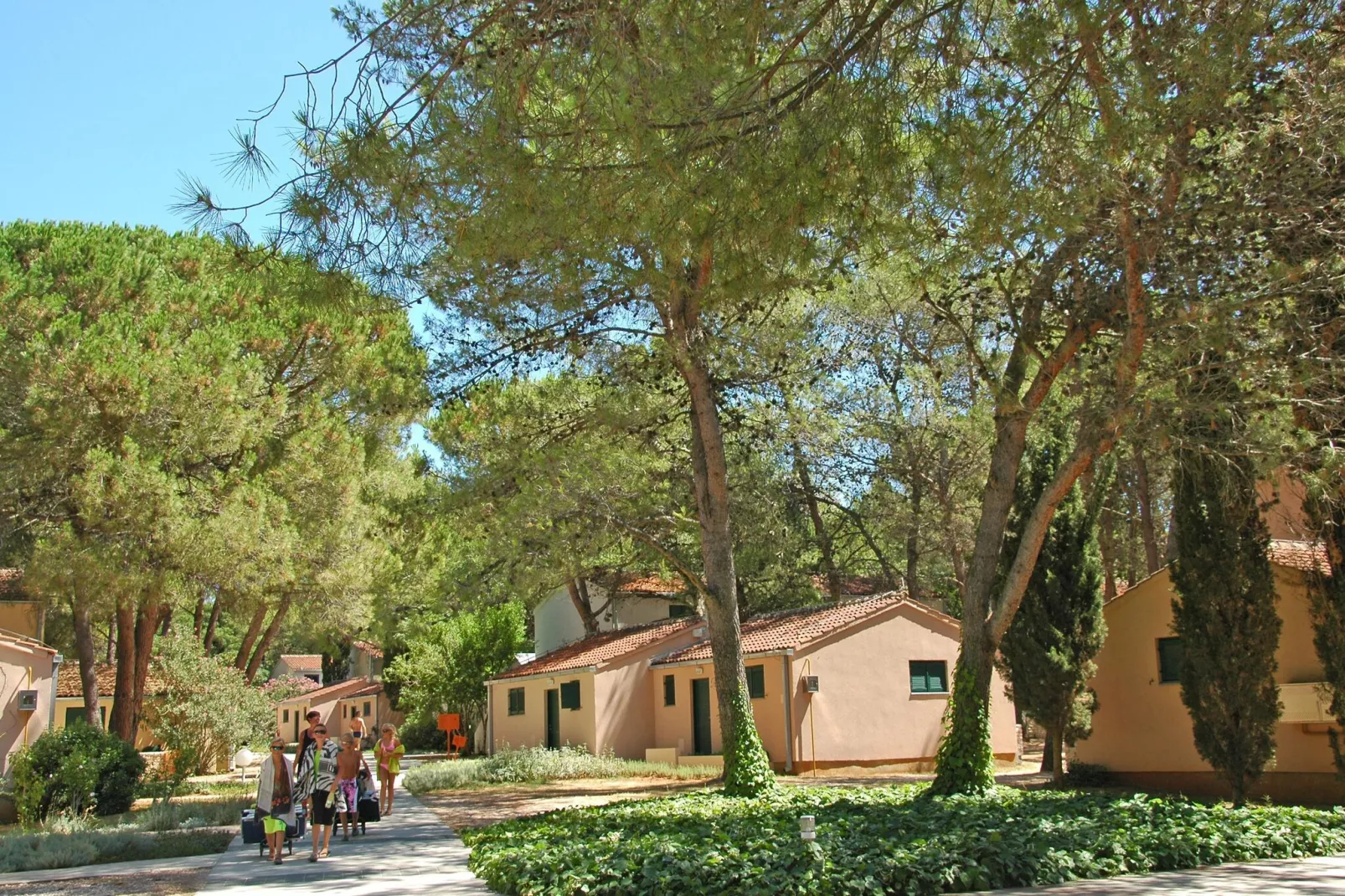 Zaton Holiday Resort Zaton-Nin-2-Raum-App AP/4 - 3 Sterne - 29 qm für 4 Pers-Gardens summer