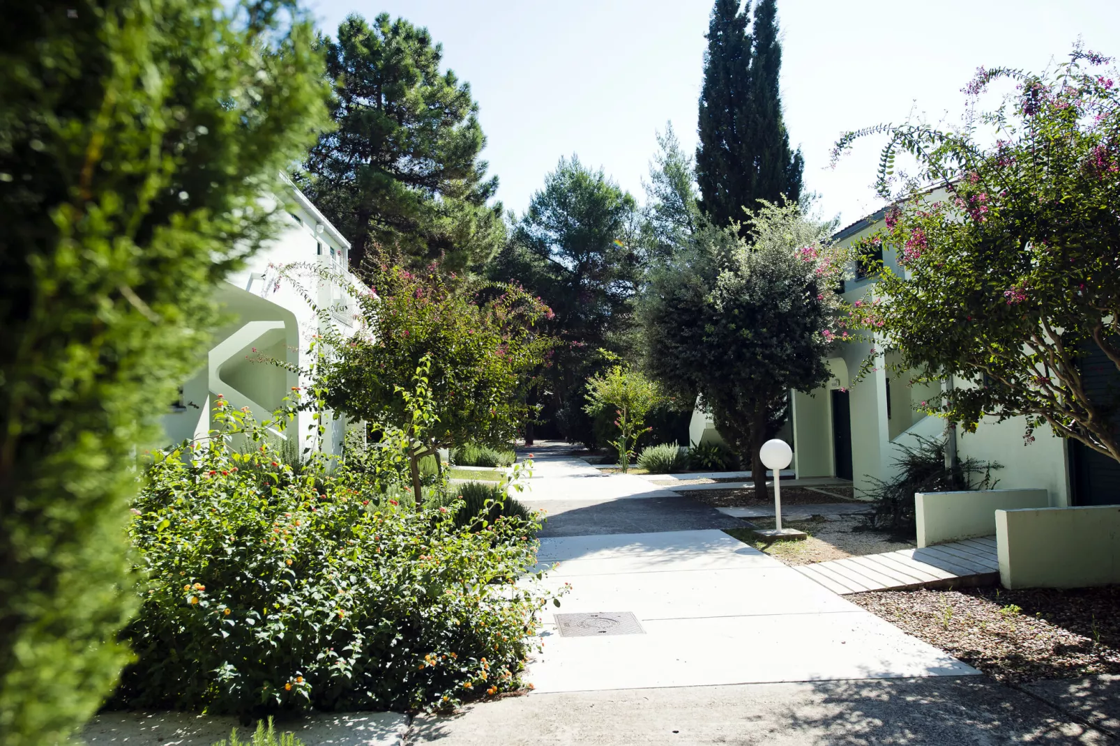 Zaton Holiday Resort Zaton-Nin -3-Raum-App AP/5 - 3 Sterne - 35 qm für 5 Pers-Gardens summer