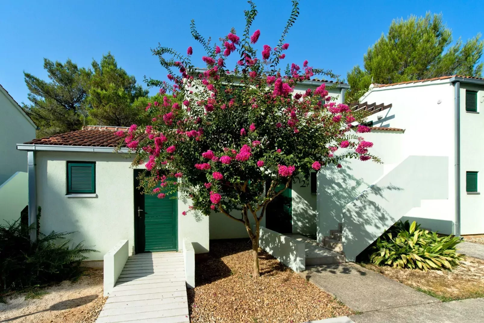 Zaton Holiday Resort Zaton-Nin -3-Raum-App AP/5 - 3 Sterne - 35 qm für 5 Pers-Exterior summer