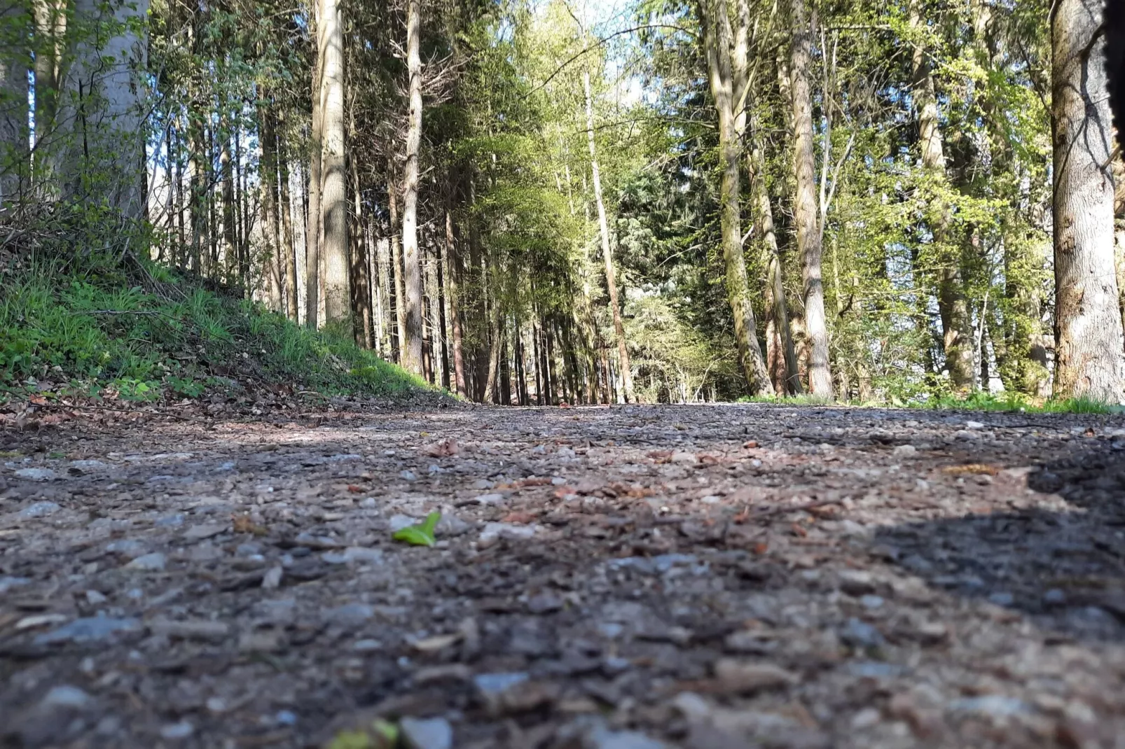 Eslohe-Areas summer 20km
