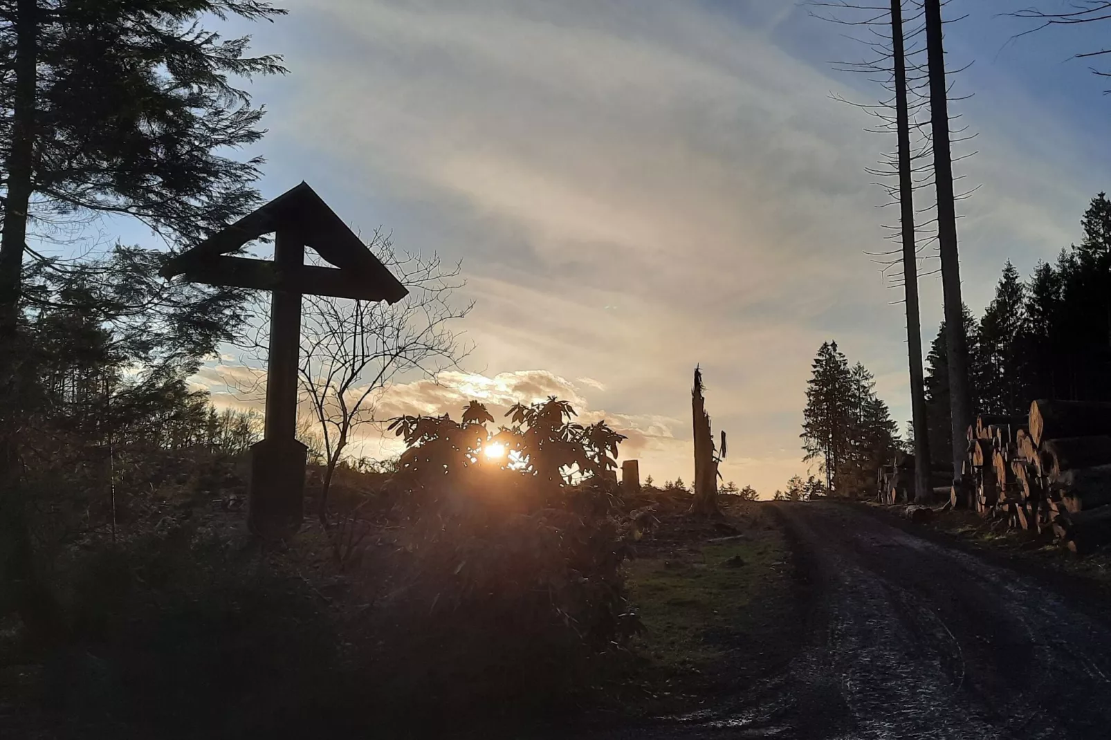 Eslohe-Areas summer 20km