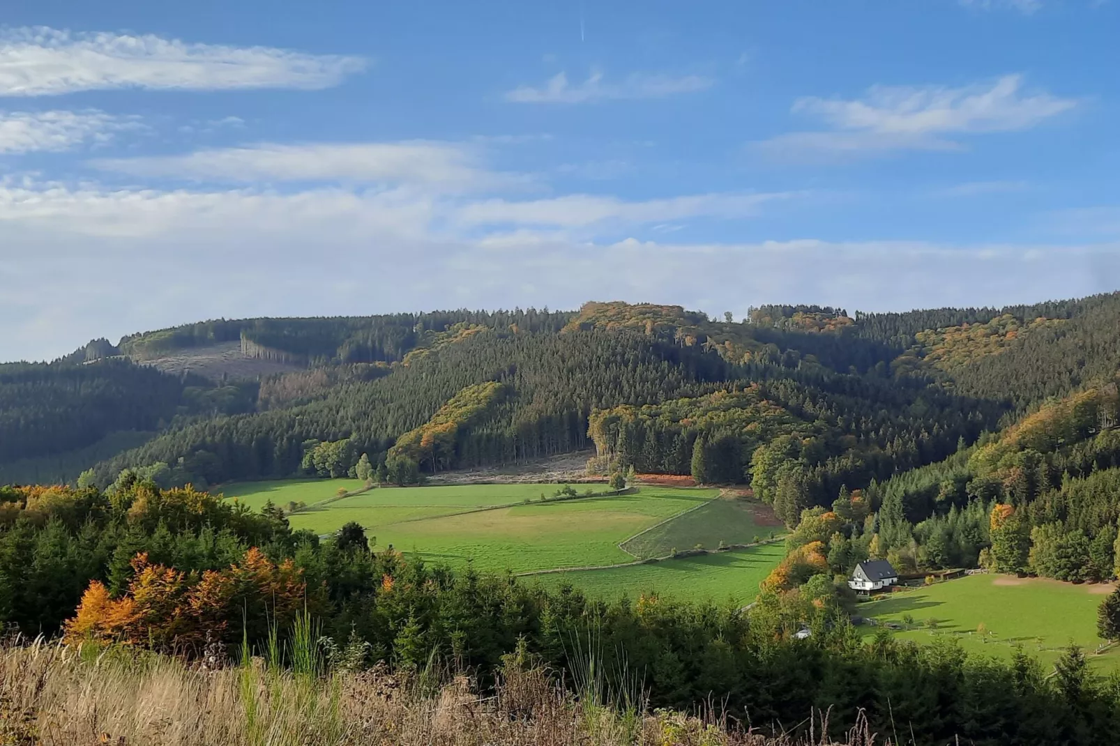 Eslohe-Areas summer 20km