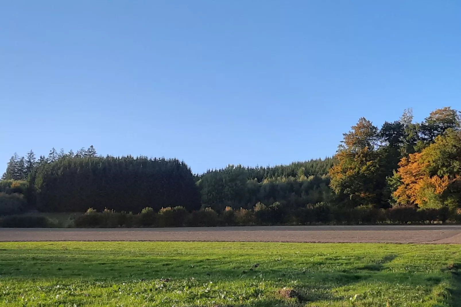 Eslohe-Areas summer 20km