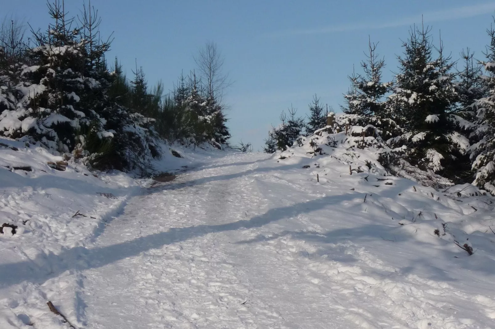 Eslohe-Area winter 20km