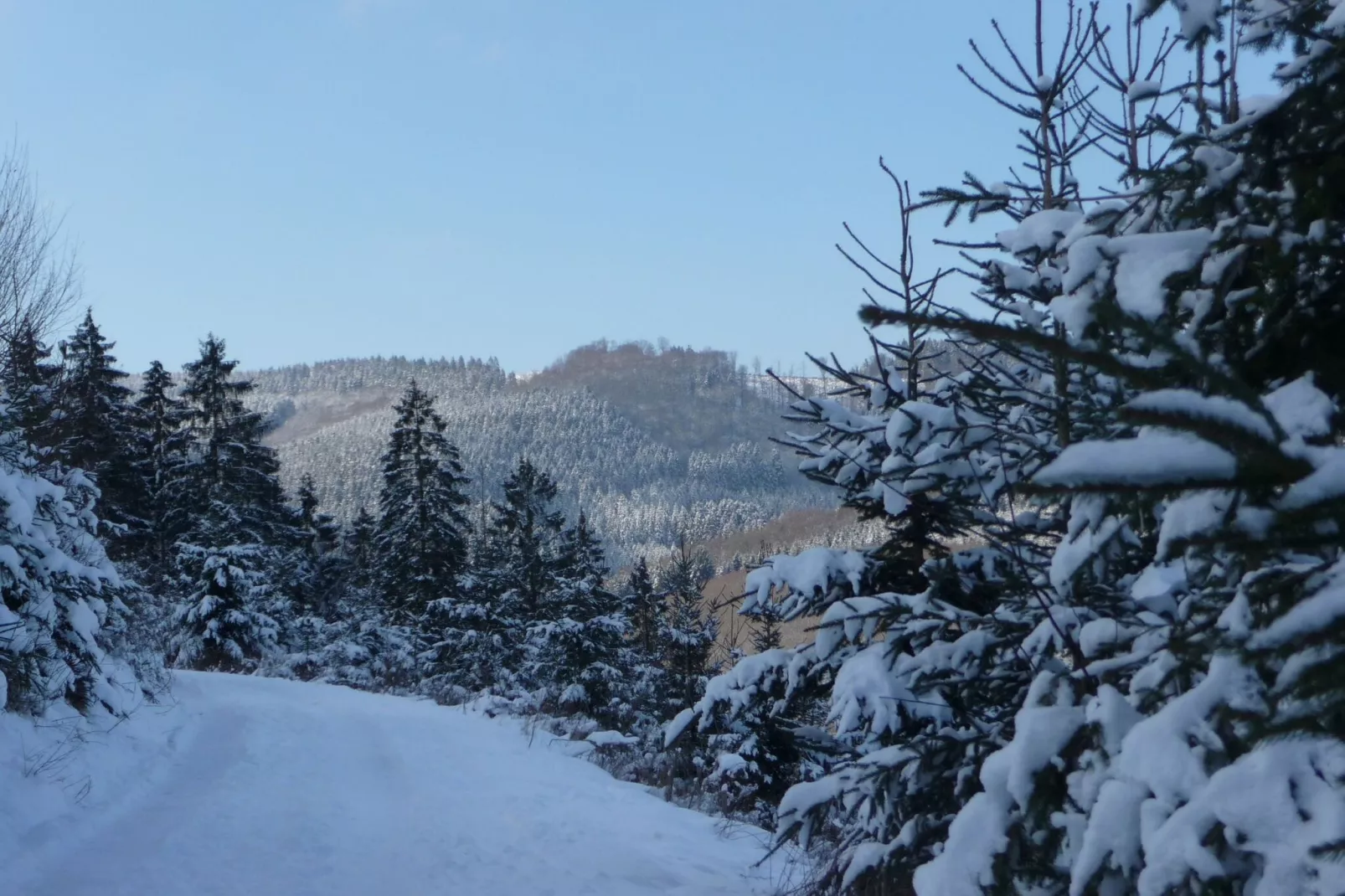 Eslohe-Area winter 20km
