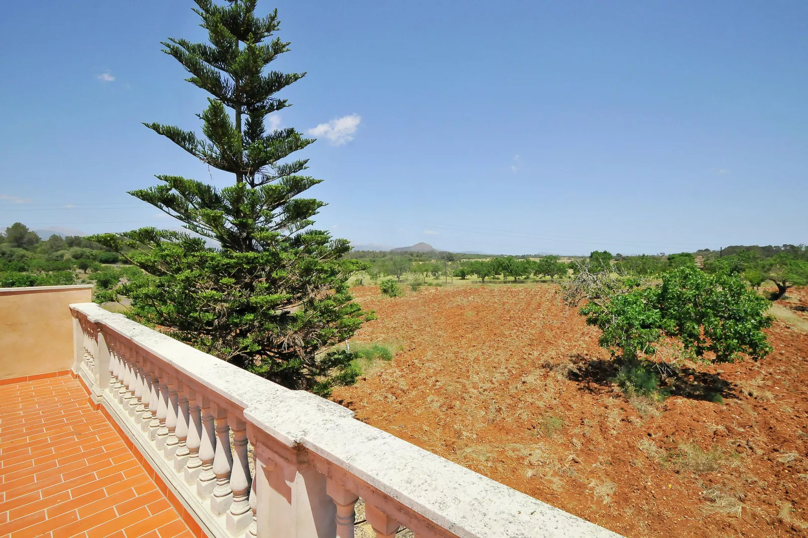 Son Nadal-View summer