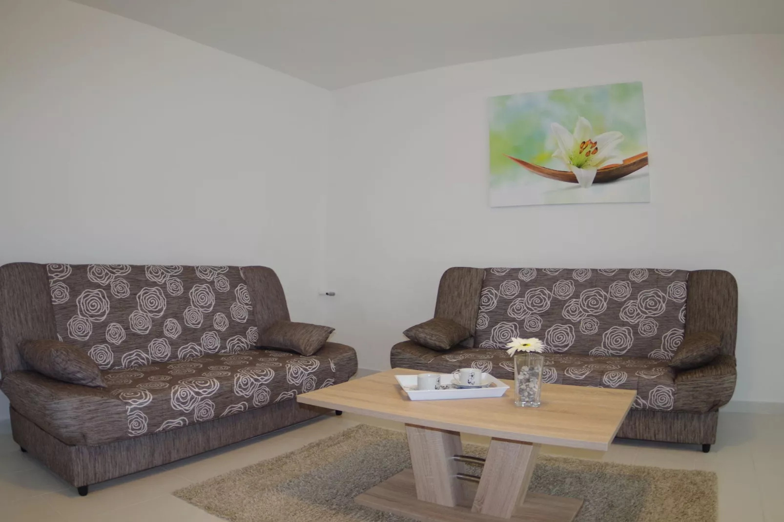 Nikolina-Living room
