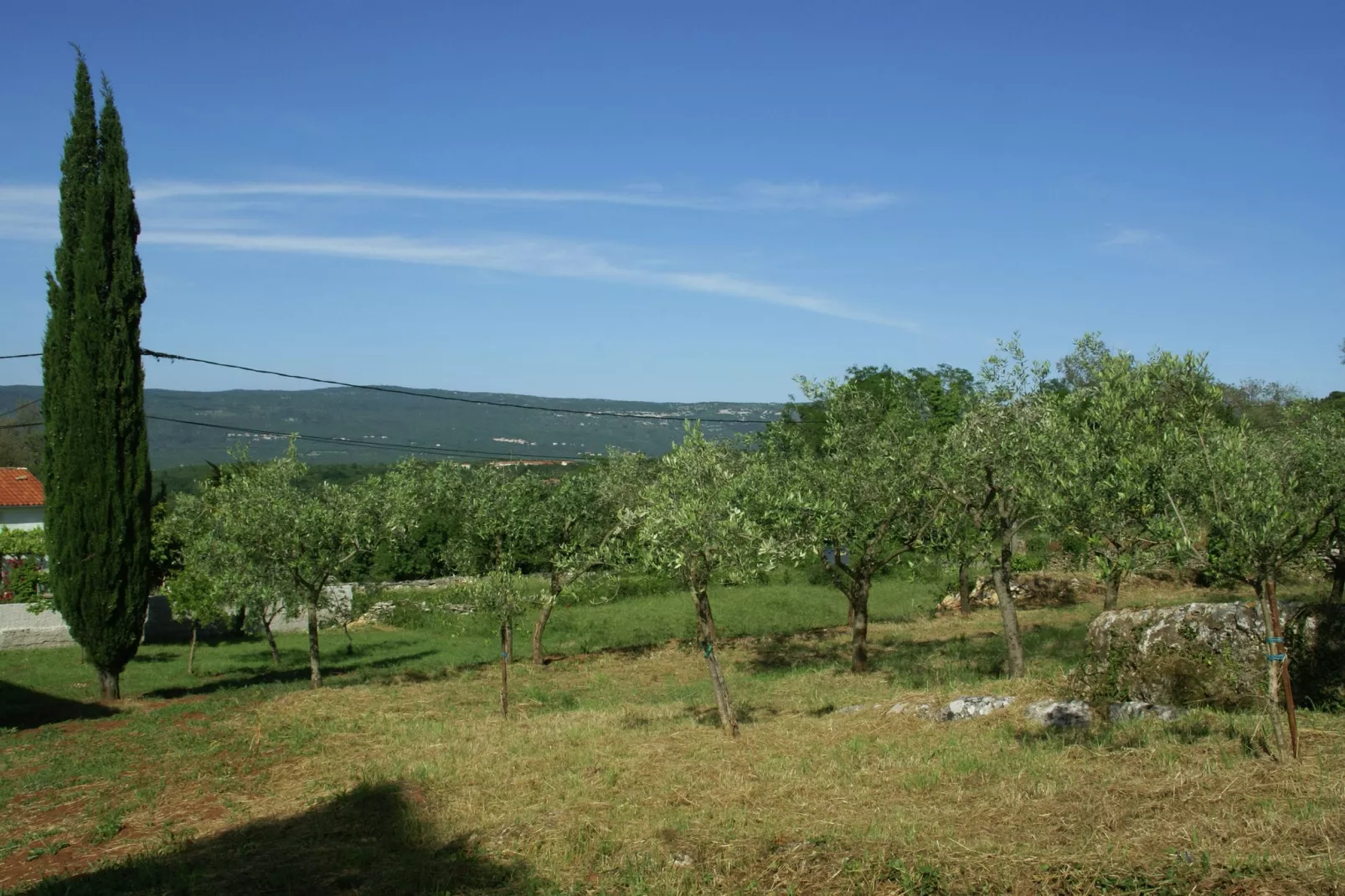 Nikolina-View summer