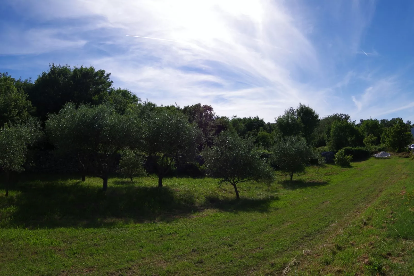 Nikolina-Gardens summer