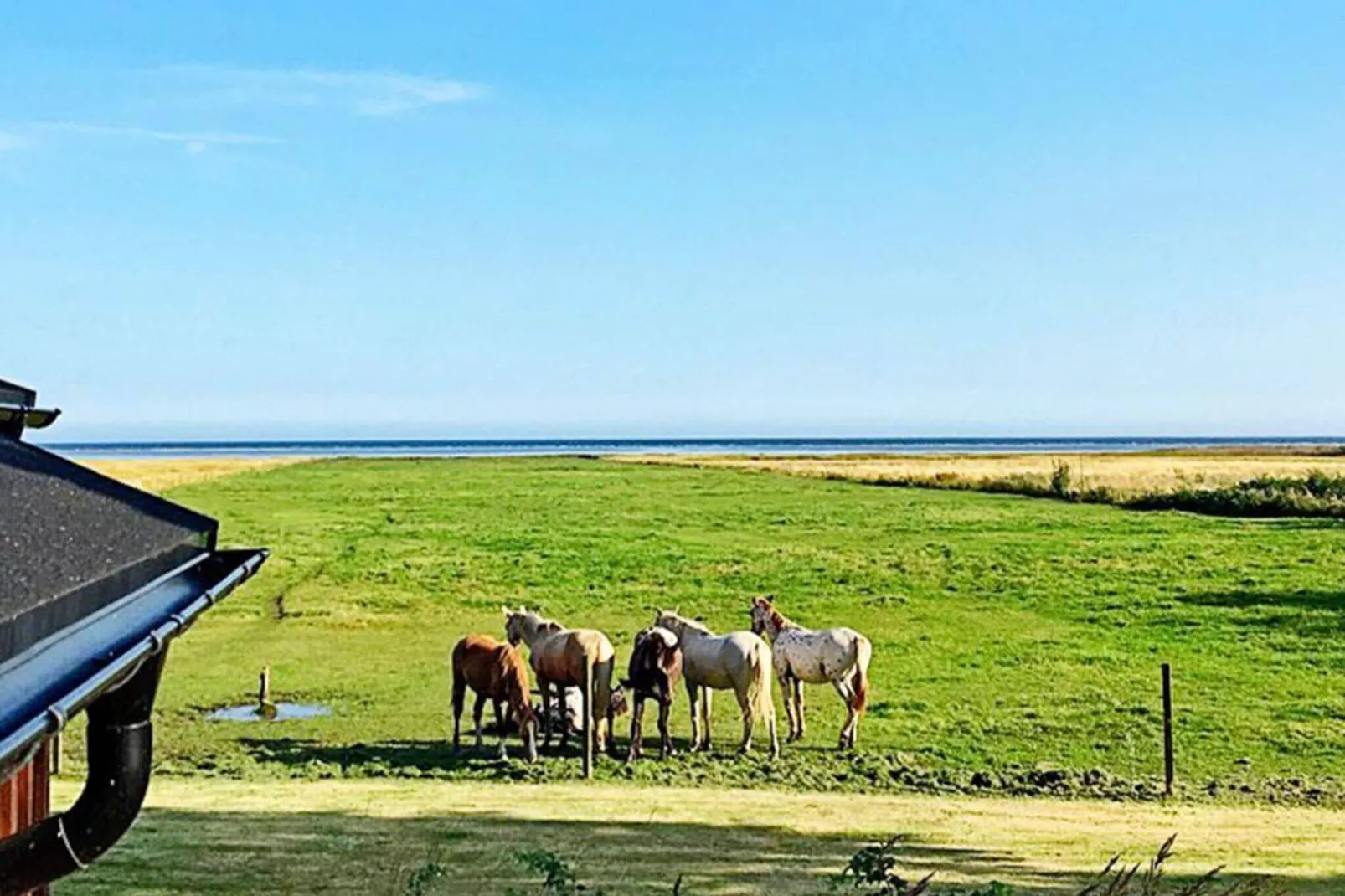 Seaside Serenity in LyngsAY-By Traum