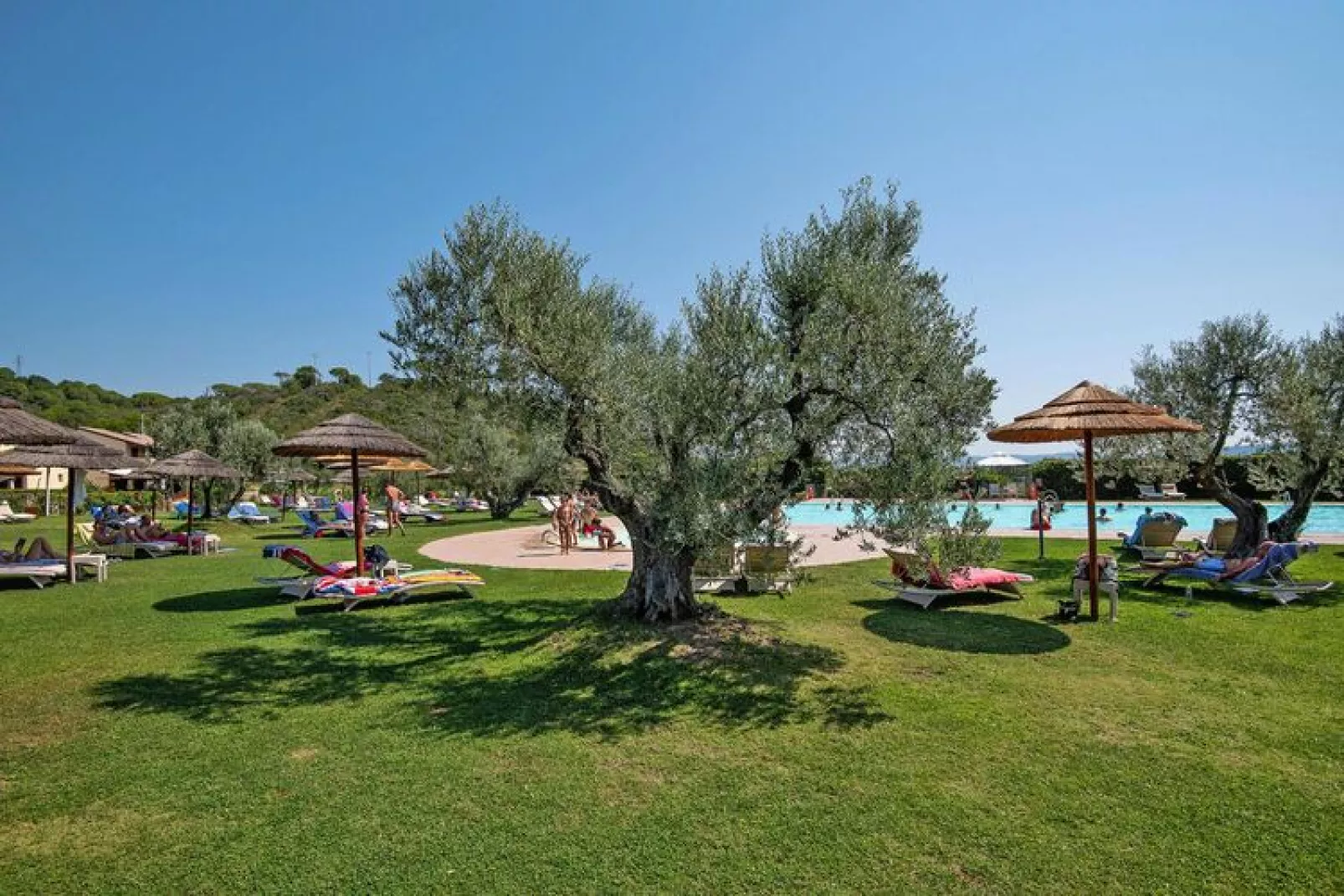 Holiday resort Le Corti di Montepitti, Suvereto-bilocale 4 - piano terra - EG-Gardens summer