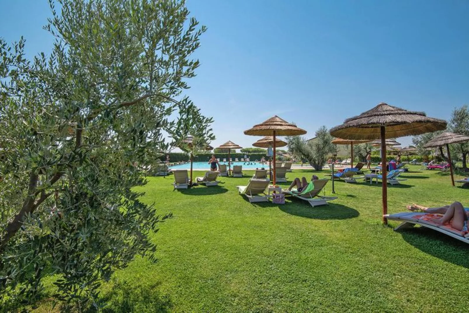 Ferienanlage Le Corti di Montepitti Suvereto-trilocale 5 - piano terra - EG-Jardin d'été