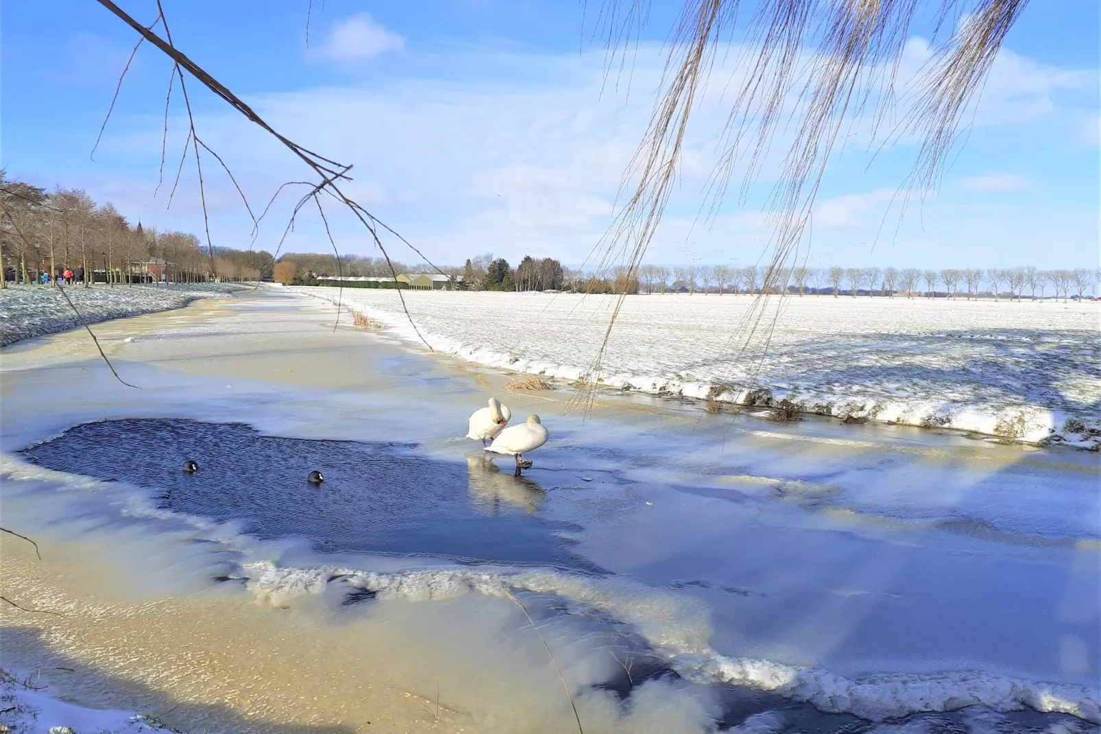 Edammer Vissershuisje-Area winter 20km