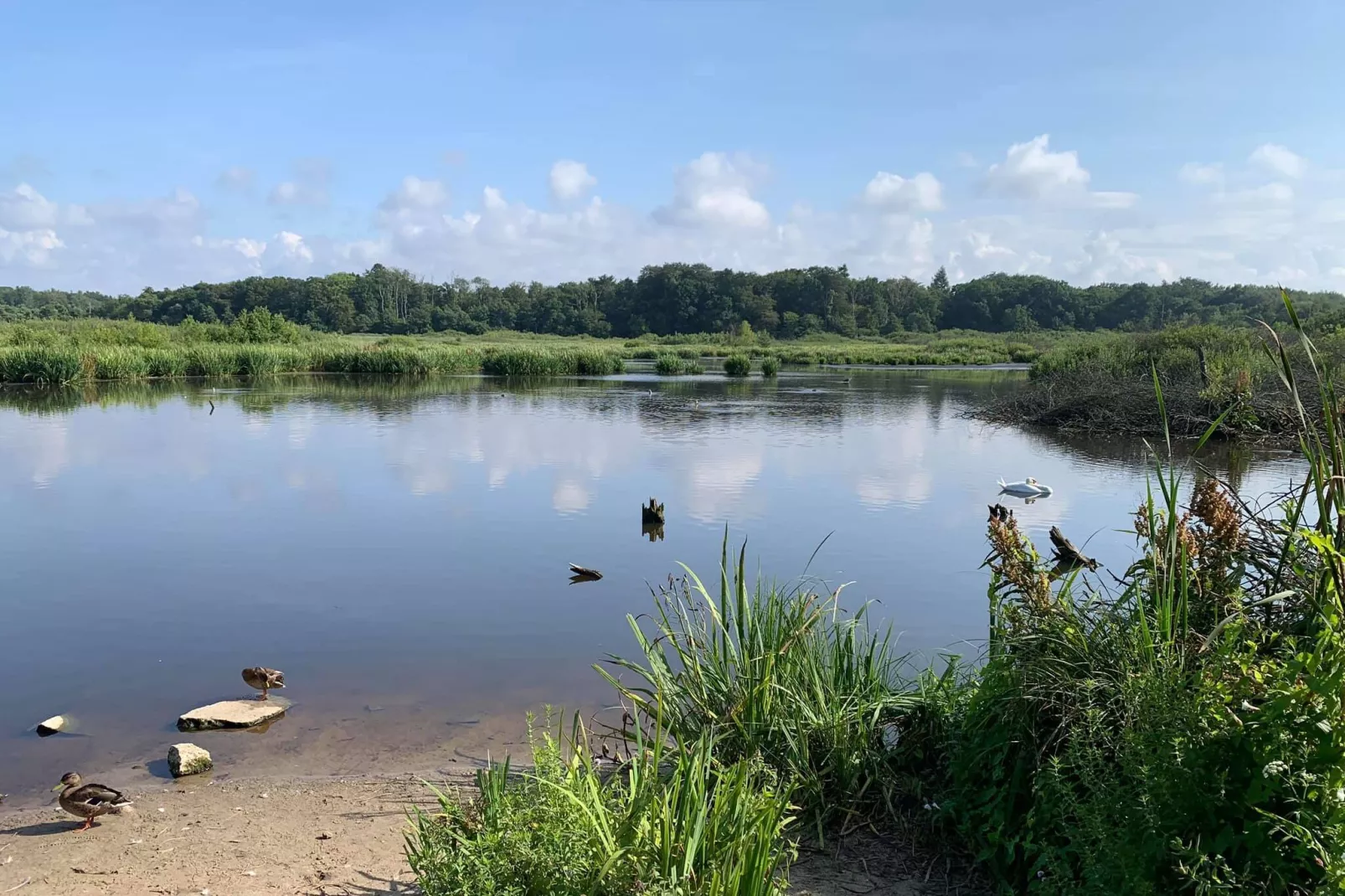 	Całoroczny nowy domek dla 4 osób Ustronie Morskie-Areas summer 5km