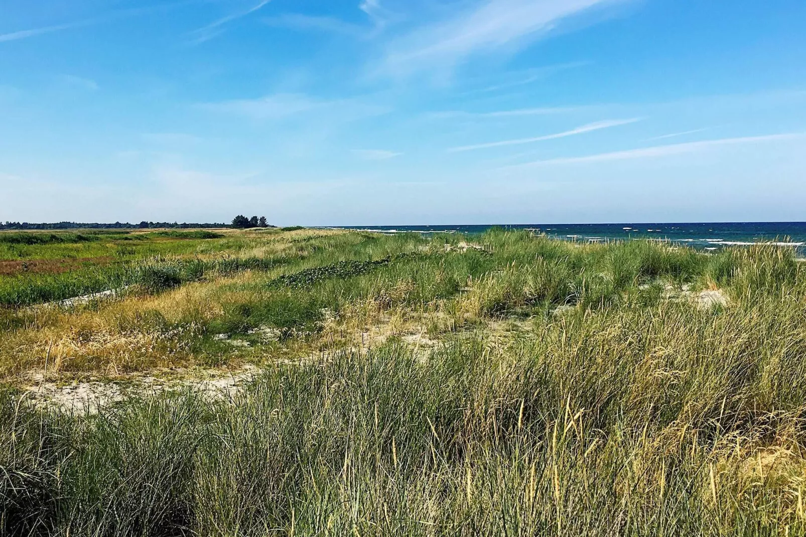 Seaside Serenity in LyngsAY-By Traum-View