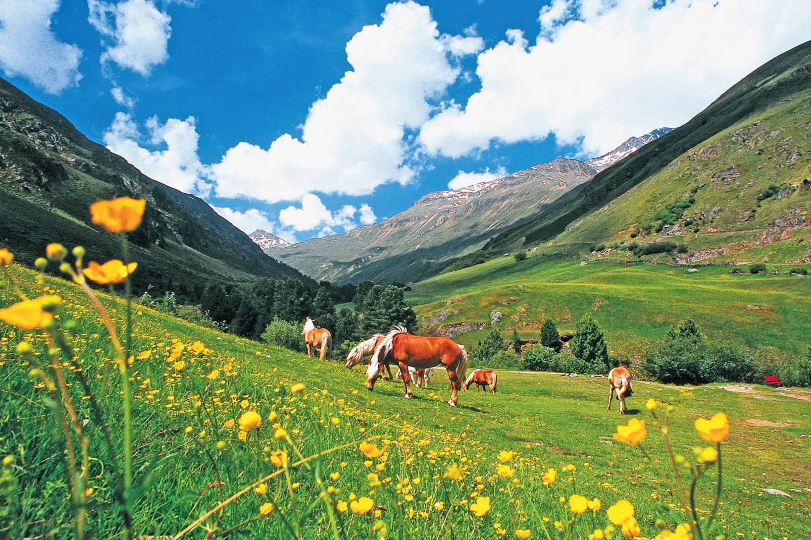Haus Peppas-Areas summer 20km