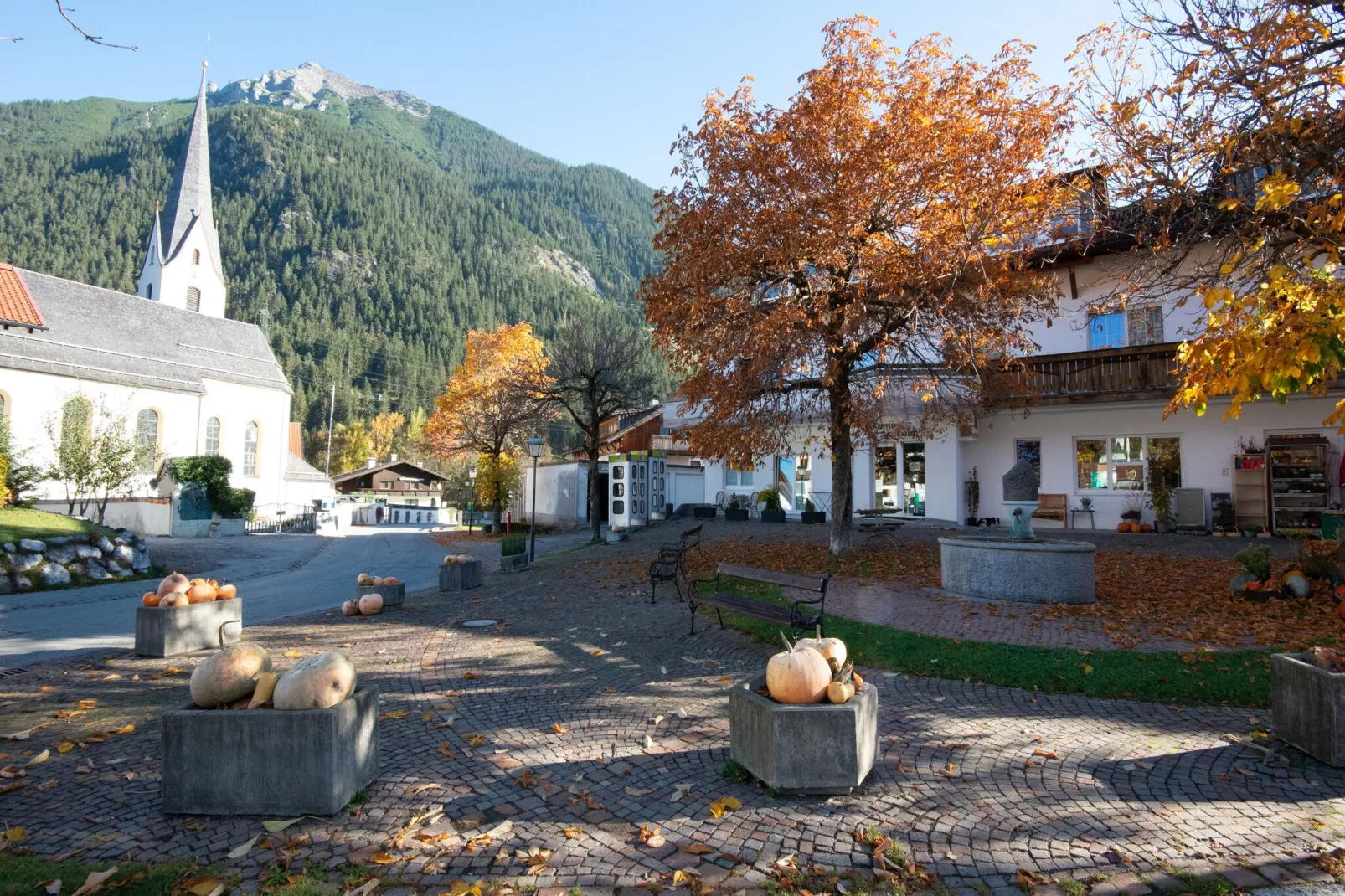 Haus Bergwald TOP 5-Areas summer 1km