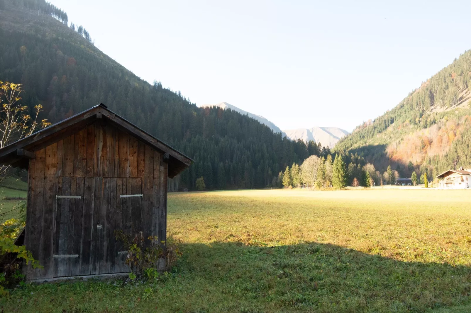 Haus Bergwald TOP 5-Areas summer 5km