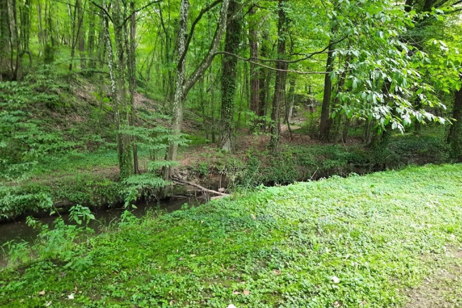 Domaine Le Ry d'Ave-Areas summer 1km
