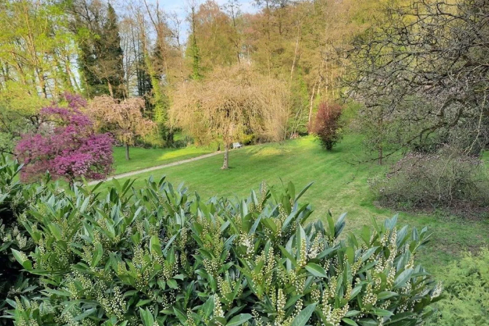 Domaine Le Ry d'Ave-Gardens summer