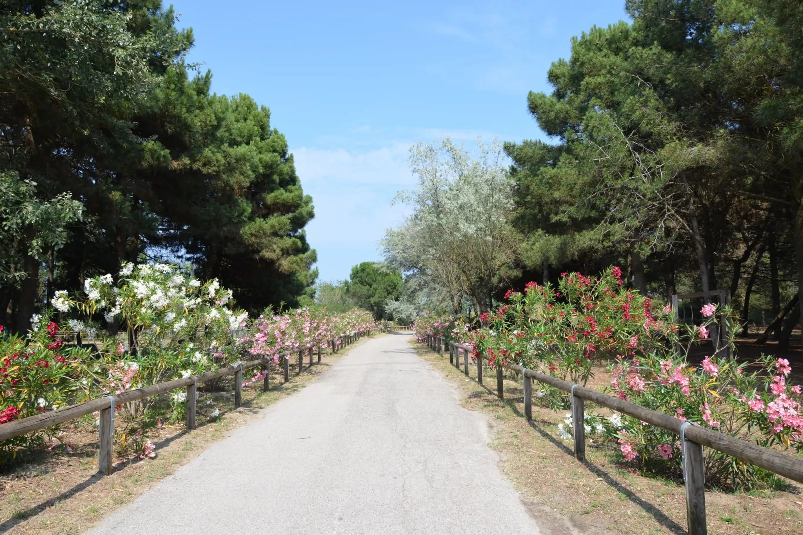 Marina Villetta Due-Atmosphere