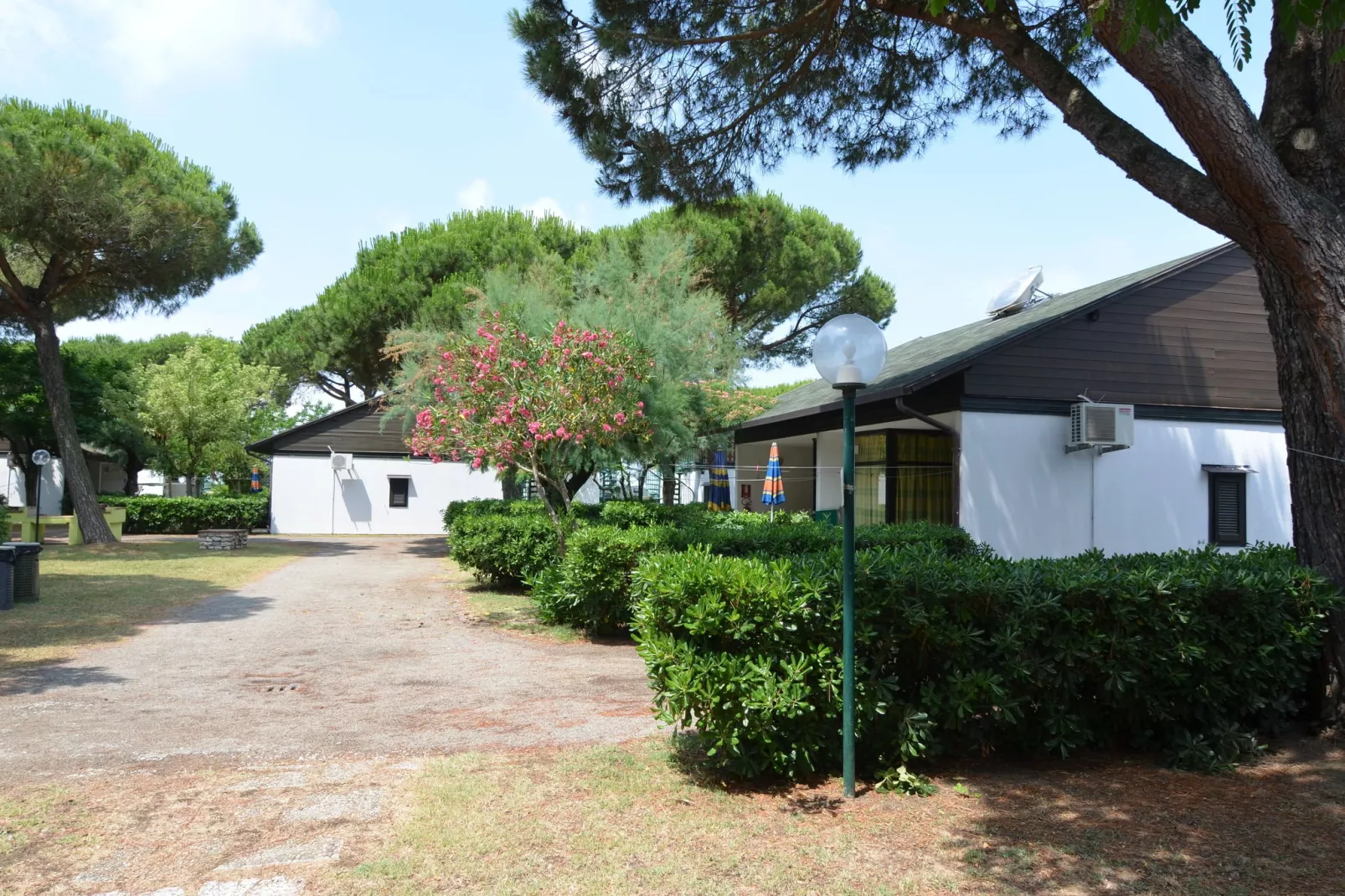 Residence Mare Pineta - Sogni d'Acqua 3-View summer