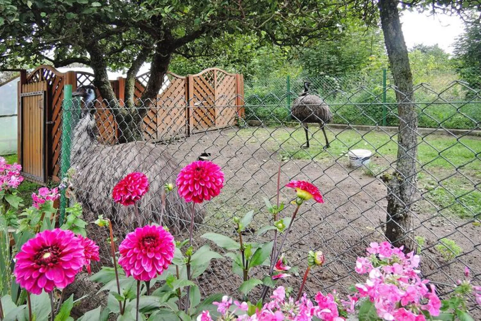 Holiday home Kolczewo 55 qm 5 Pers-Areas summer 1km