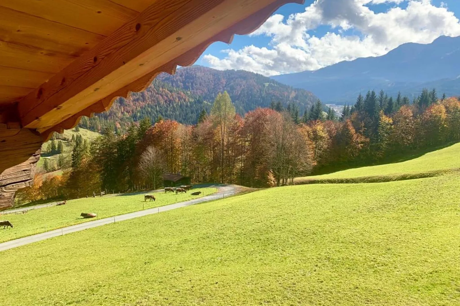 Bauernhaus Hochfilzen-View summer
