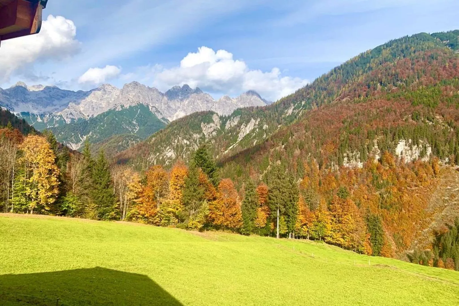 Bauernhaus Hochfilzen-View summer