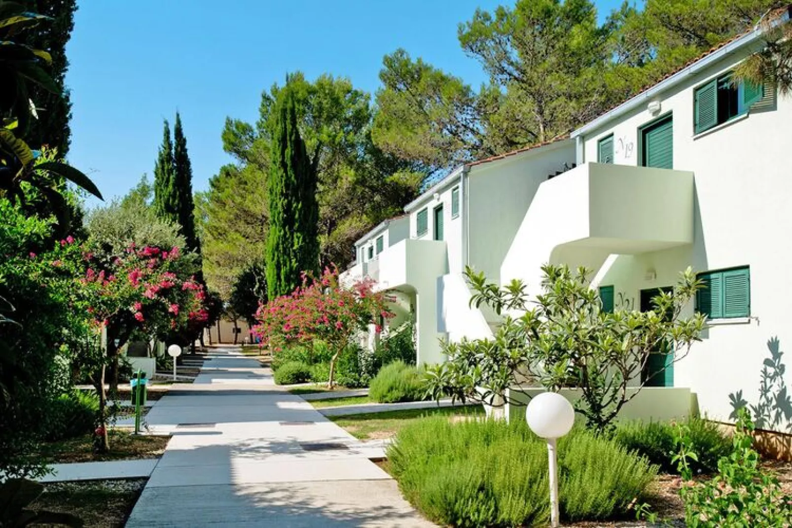 Zaton Holiday Resort - Zaton-Nin - Studio  AP/3 - 3 Sterne - 20 qm für 3 Erw-Exterior summer