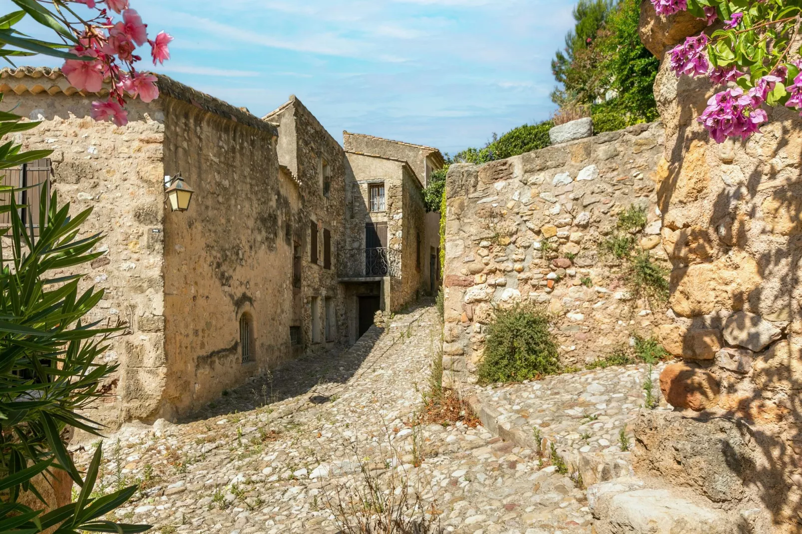 La vigneronne-Exterior summer