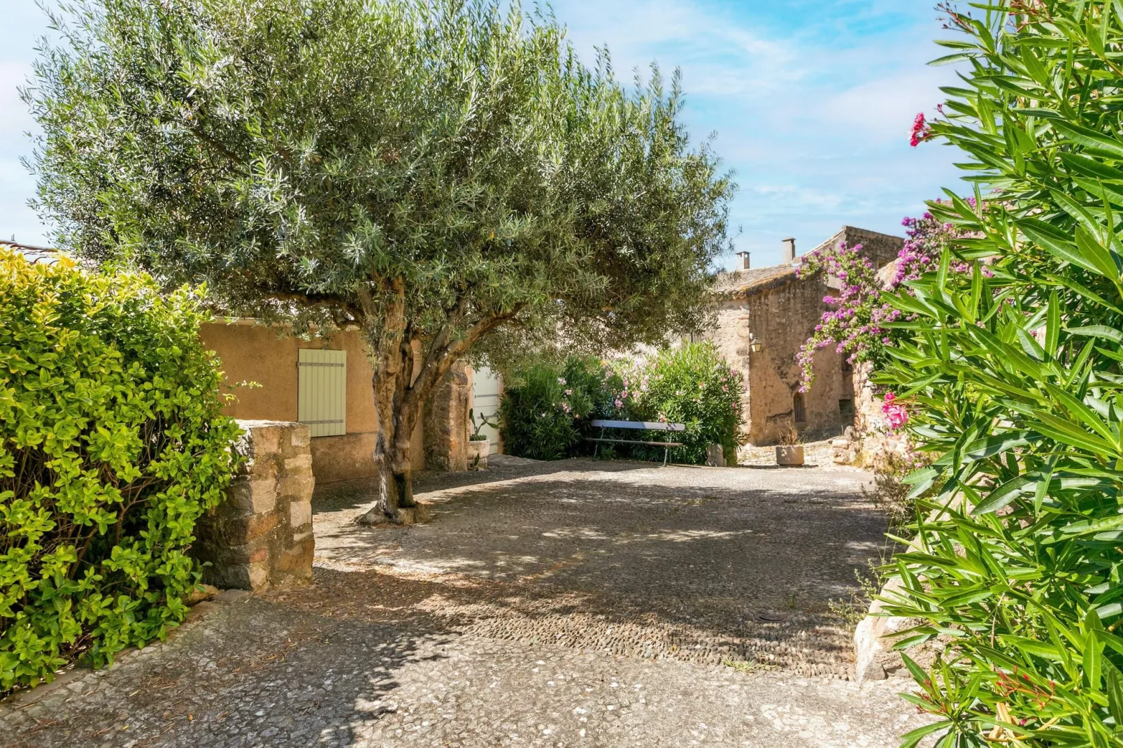 La vigneronne-Gardens summer