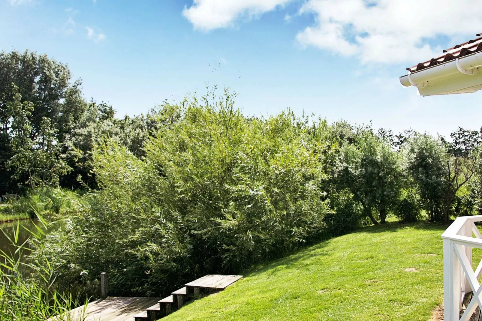 WELLNESS-Vue