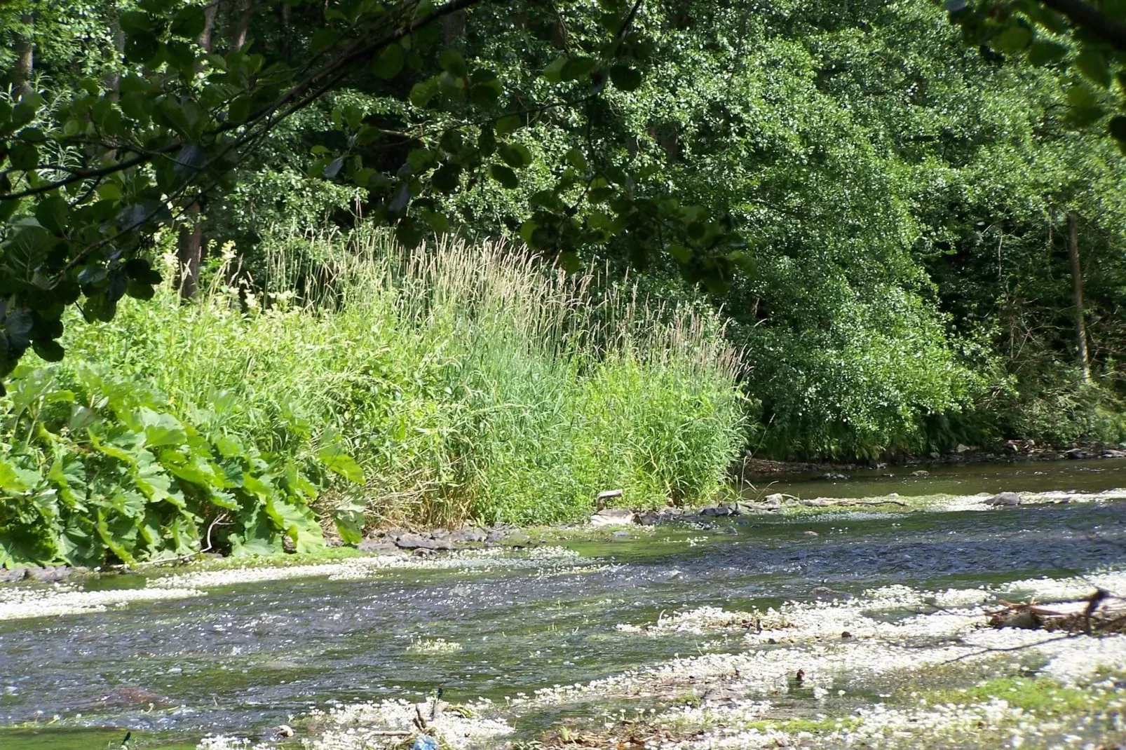 Au Pré Fleuri-Areas summer 1km