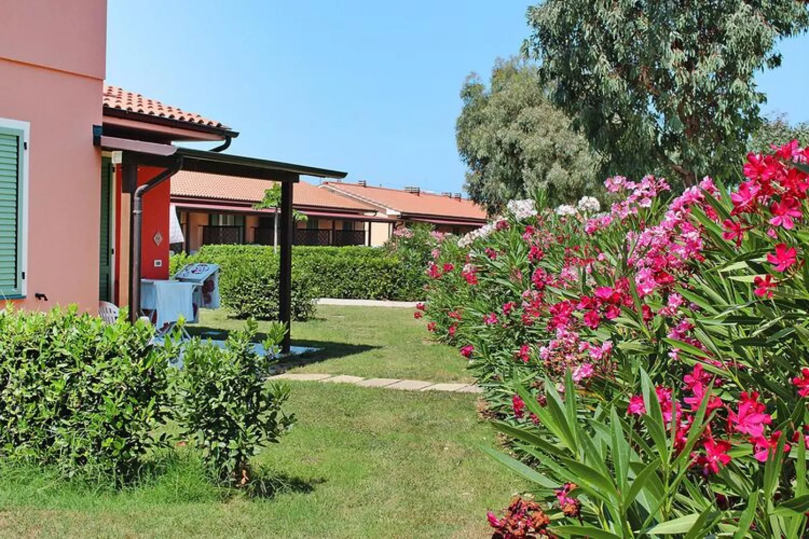 Holiday residence Rosa dei Venti, Vada-Bilocale 4 piano terra libeccio-Gardens summer